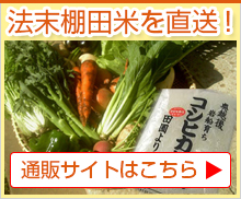 新鮮野菜の通信販売